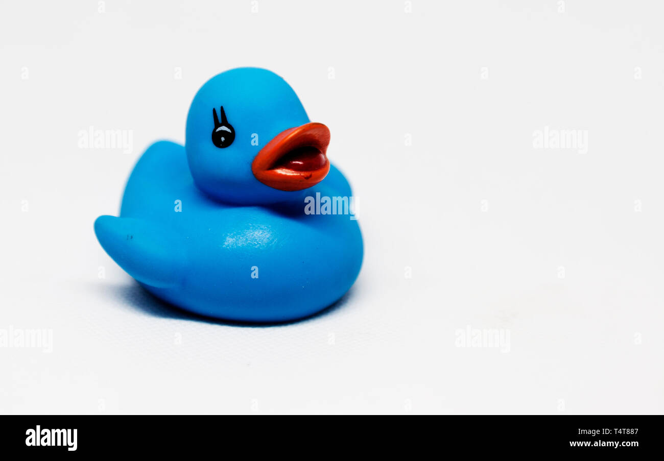Duckie hires stock photography and images Alamy