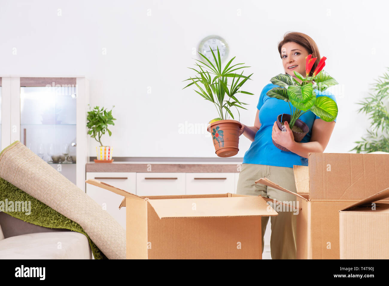 moving-plant-pots-hi-res-stock-photography-and-images-alamy