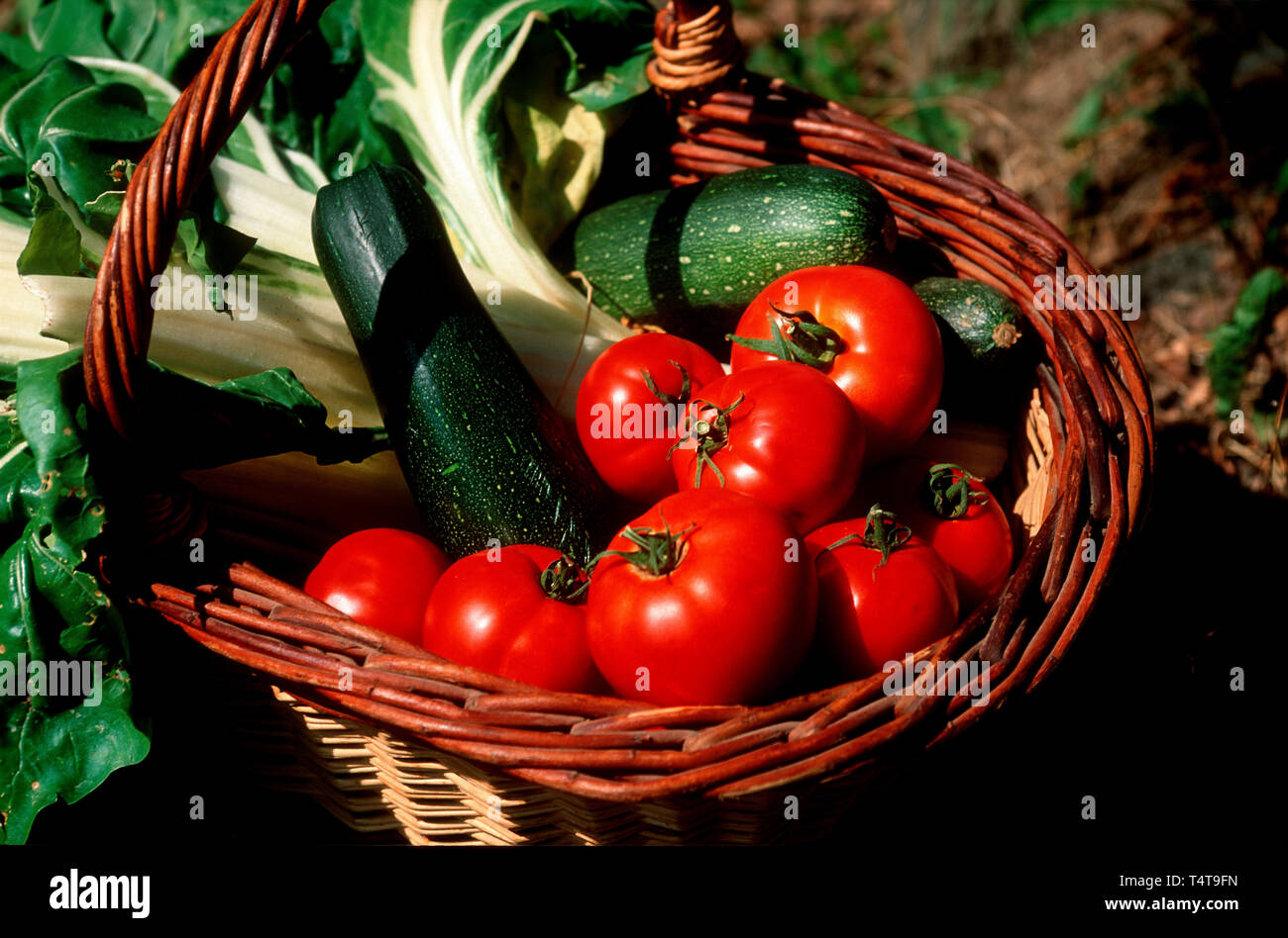 Fresh vegetables in wicker basket Stock Photo