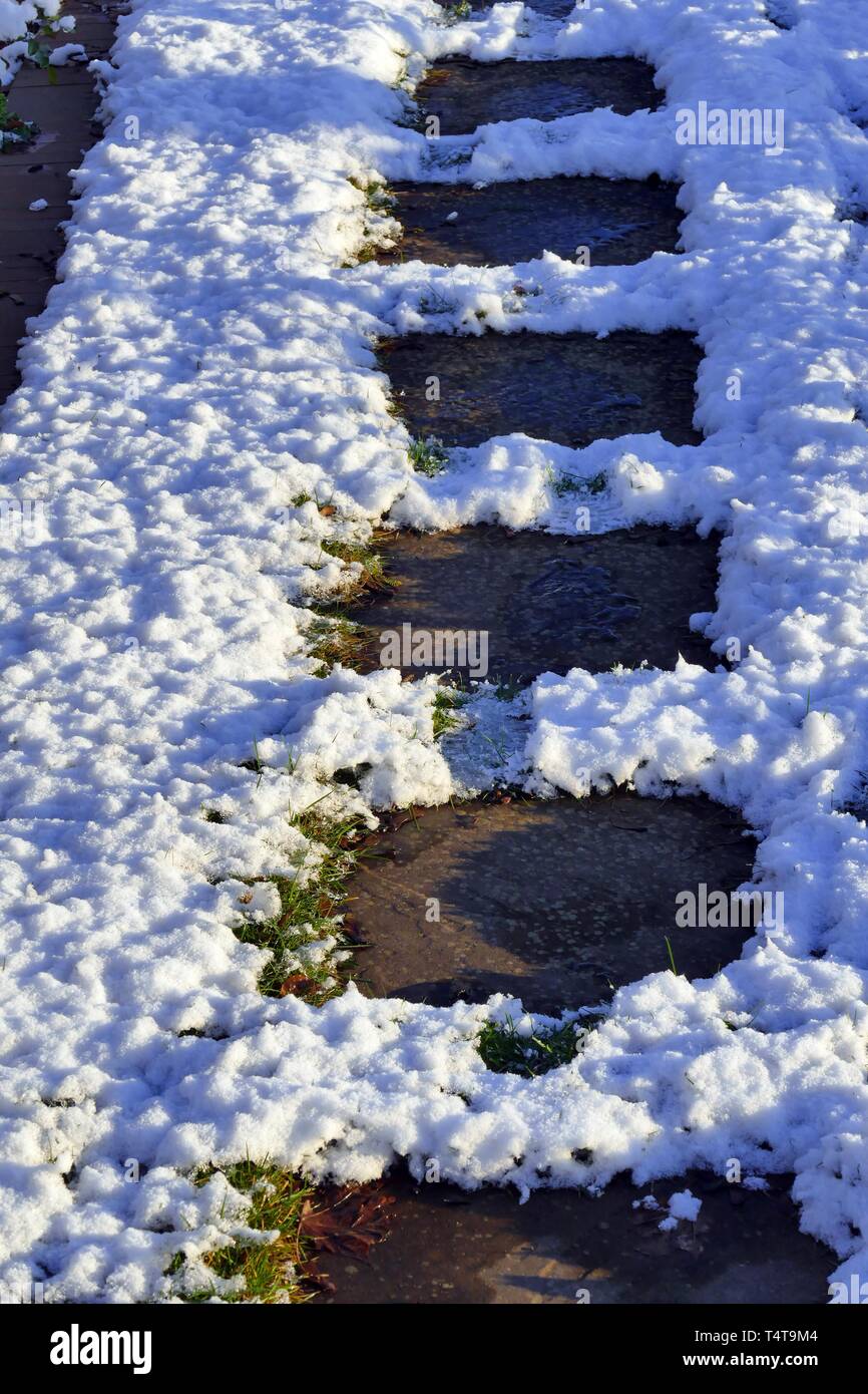 Walkway, Bremen city garden in winter, Vegesack, Bremen, Germany, Europe Stock Photo