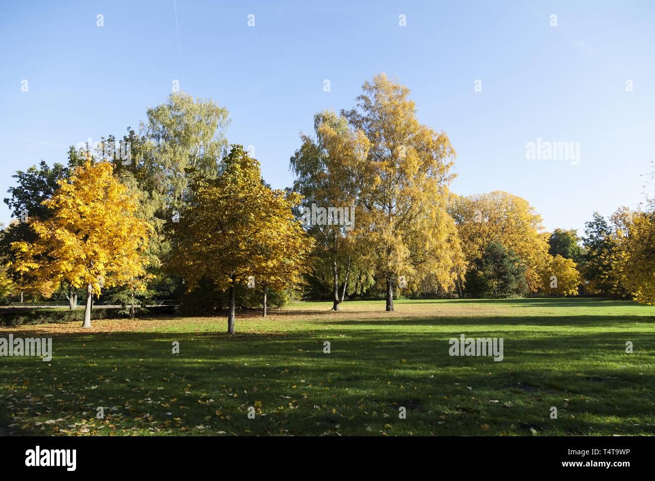 Park in autumn, Berlin, Germany Stock Photo