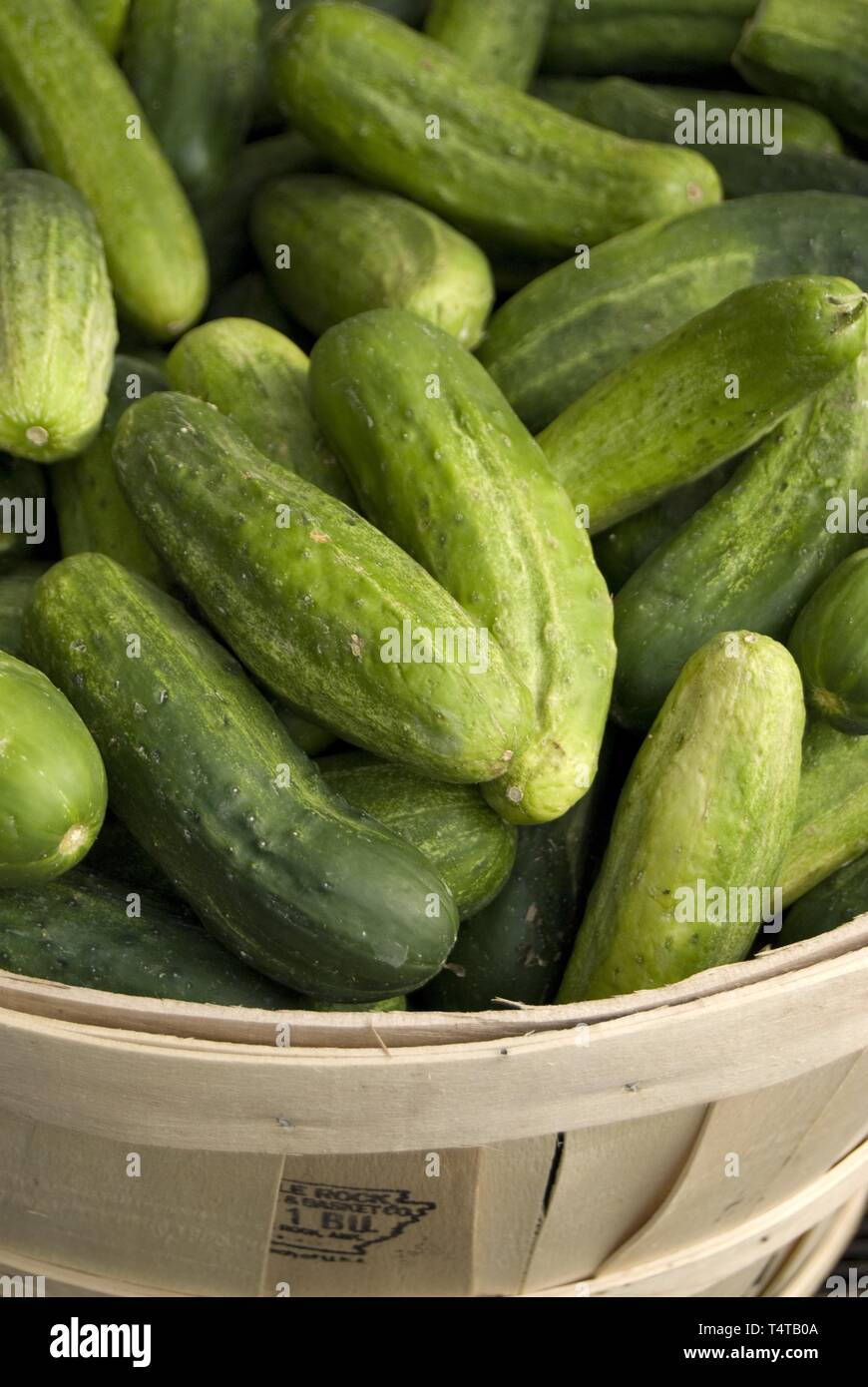 Small Cucumber, Pickling Cucumber, Vegetables at the Union Square