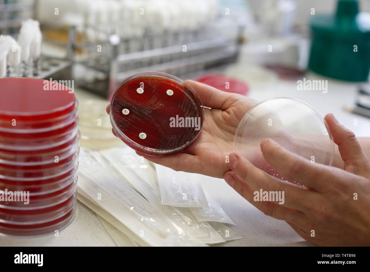 nurse at work in laboratory Stock Photo