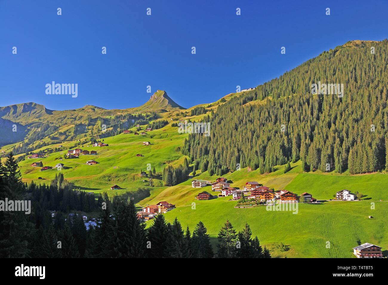 DamÃ¼ls, DamÃ¼ls Mittagspitze, Bregenz Forest, Vorarlberg, Austria, Europe Stock Photo