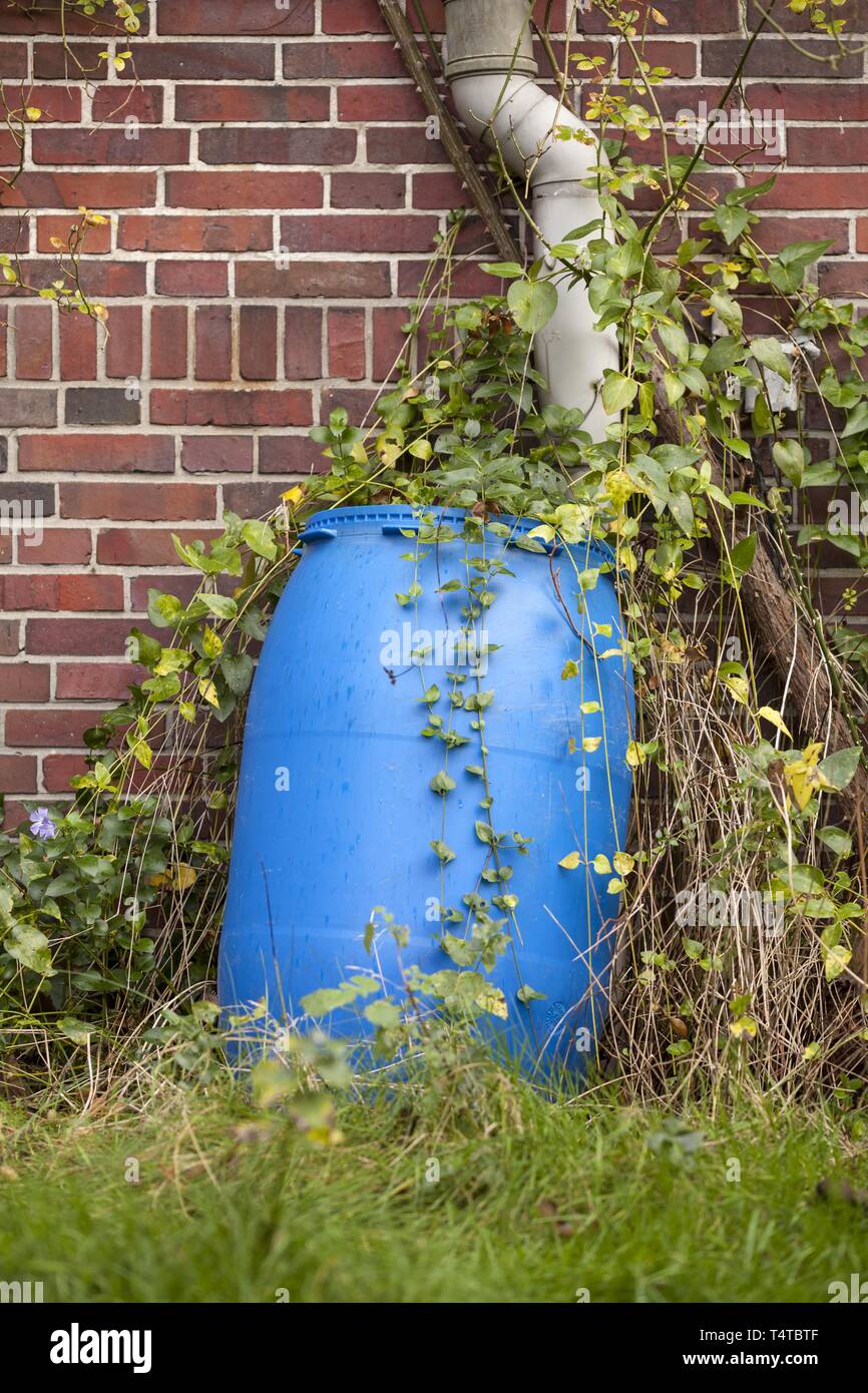 Rainwater barrel Stock Photo