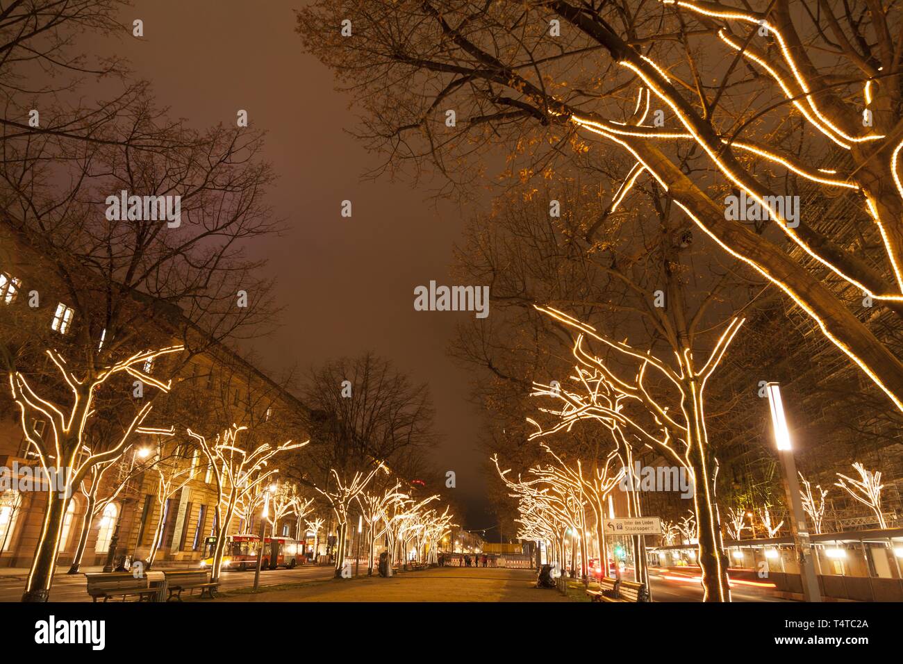 Illuminated trees, Unter den Linden, Berlin, Germany, Europe Stock Photo