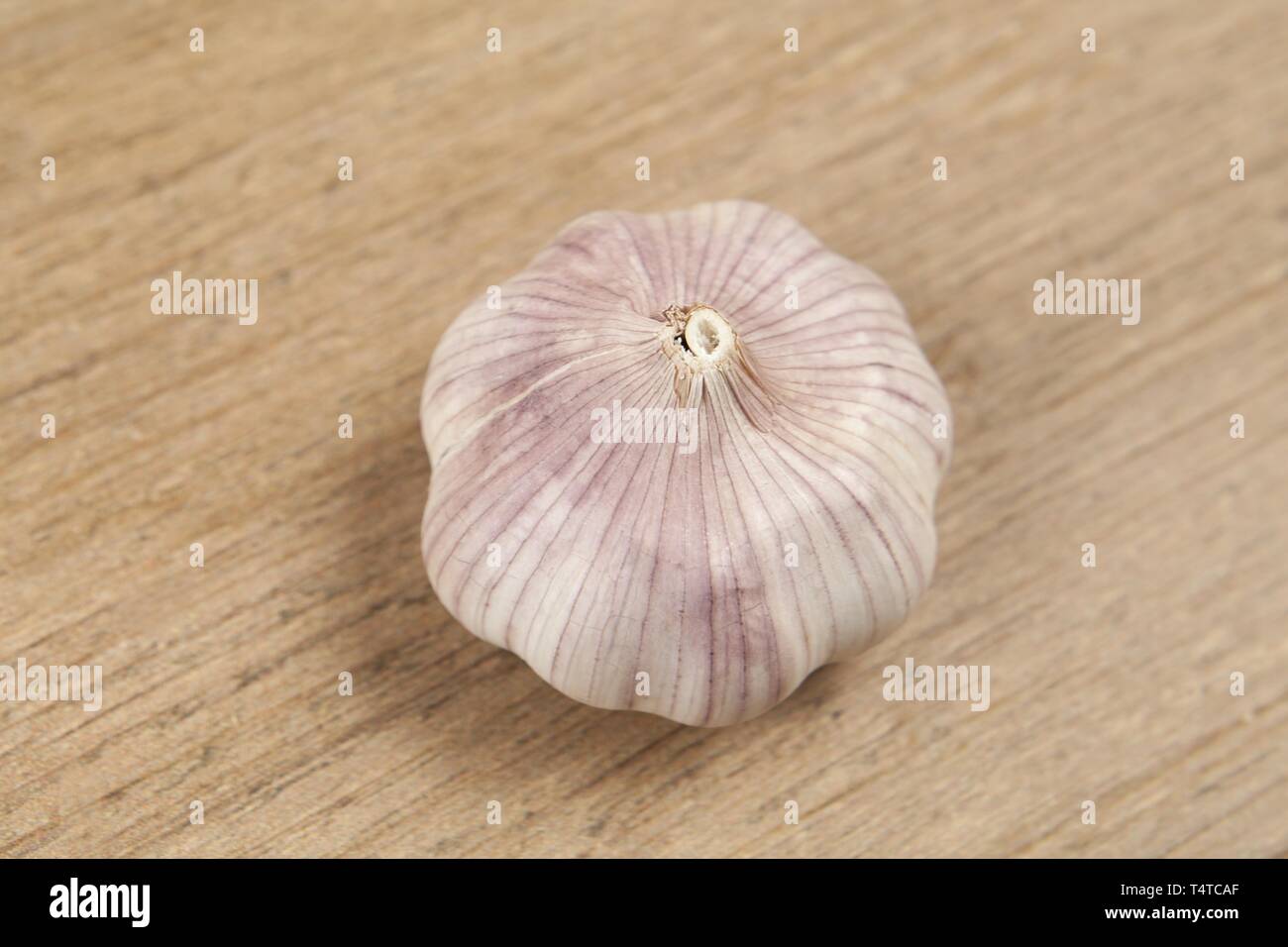 Single Pulp Garlic Single garlic bulb one hi-res stock photography and images - Alamy