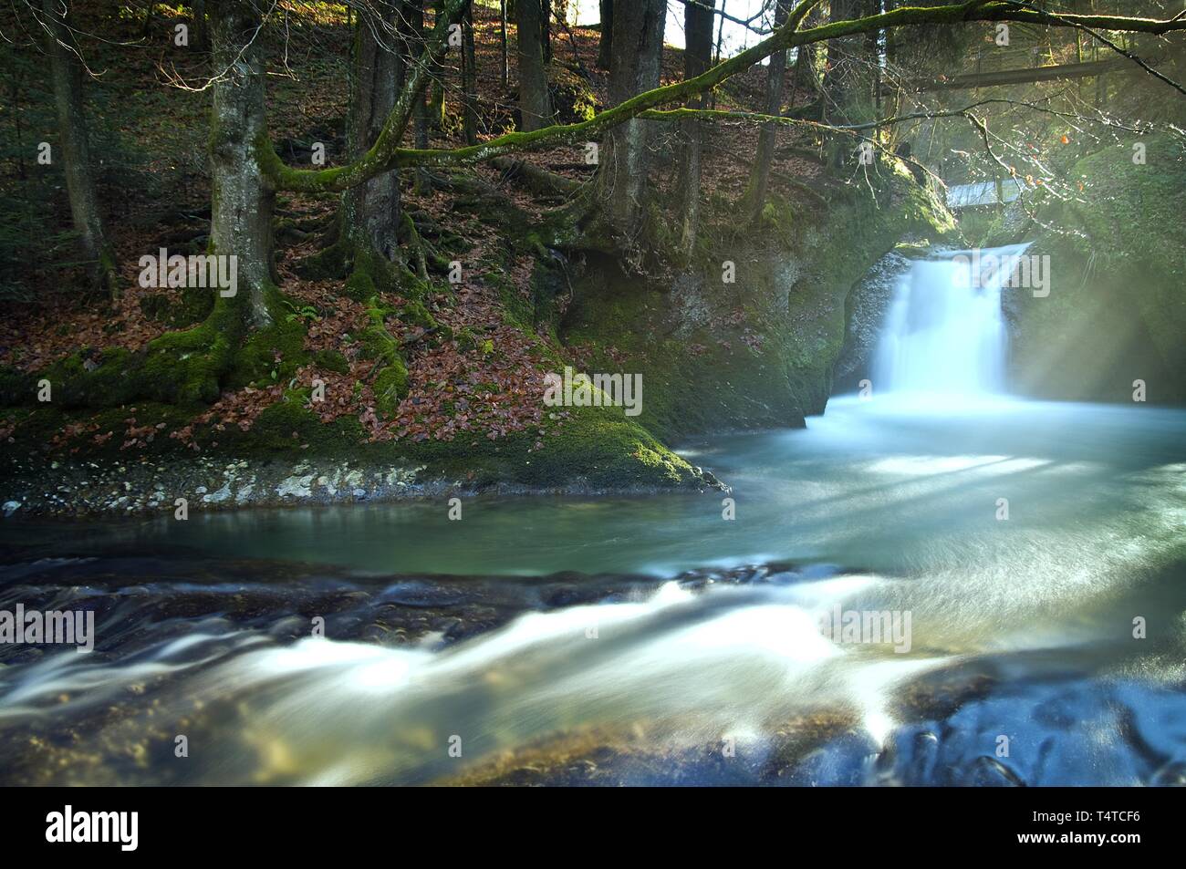 River Argen in Eistobel in Isny, AllgÃ¤u, Bavaria, Germany, Europe Stock Photo