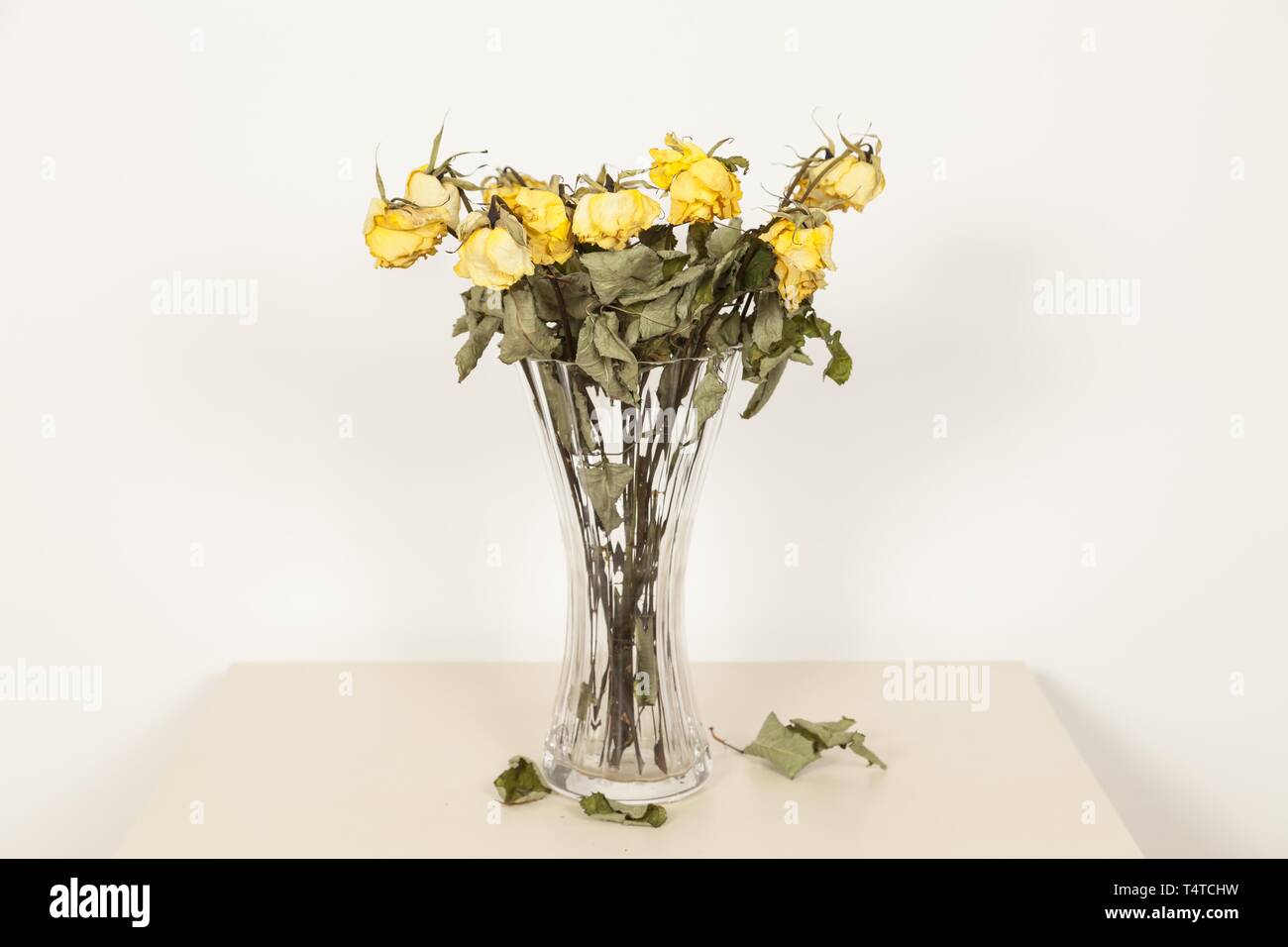 Withered bouquet of roses in a vase Stock Photo