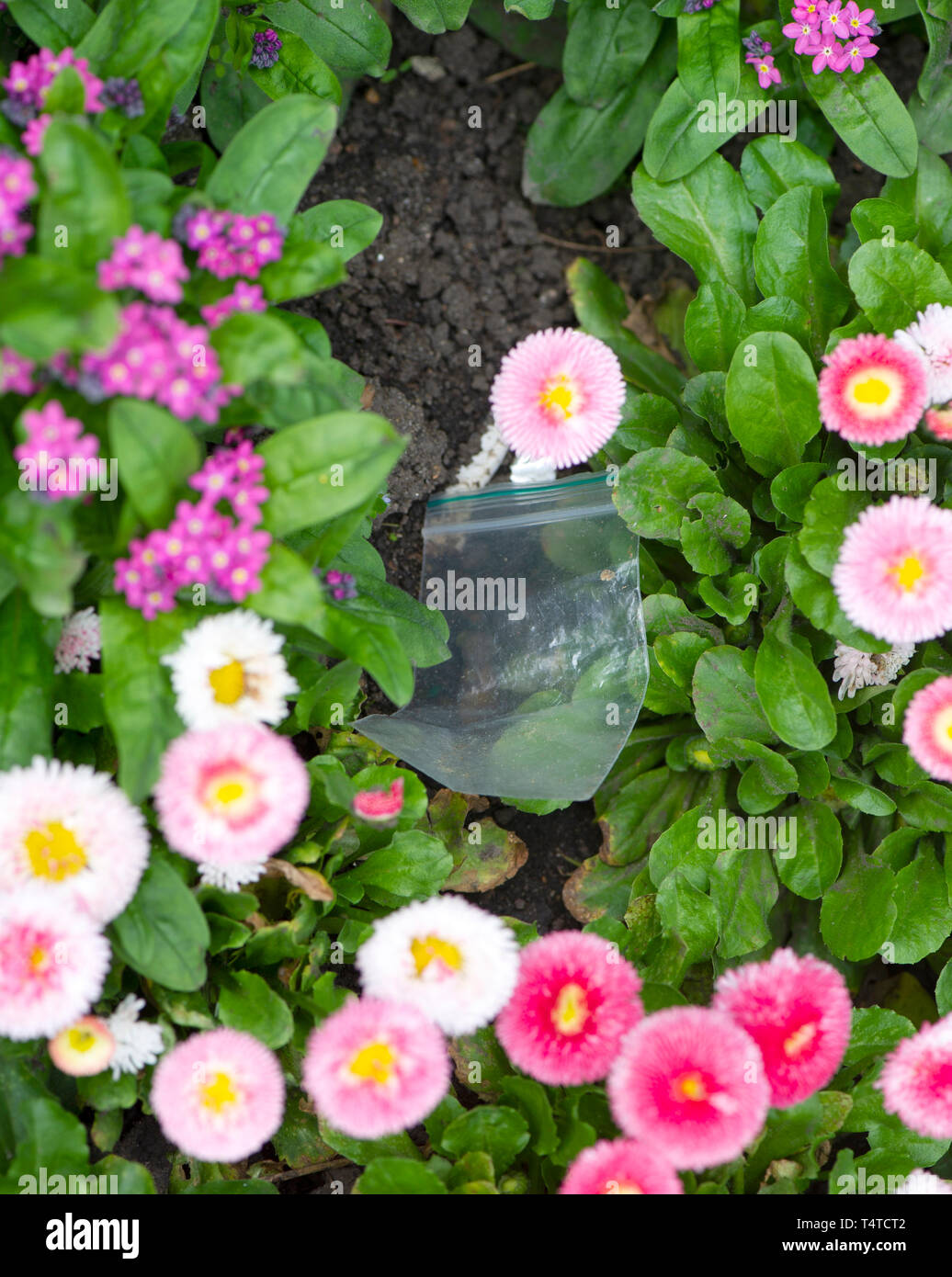 Discarded drug bags left in park Stock Photo