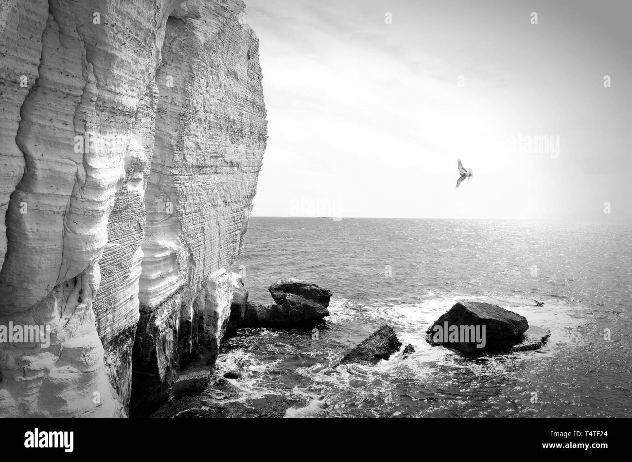 sea waves crashing on rocks, black and white tones Stock Photo - Alamy