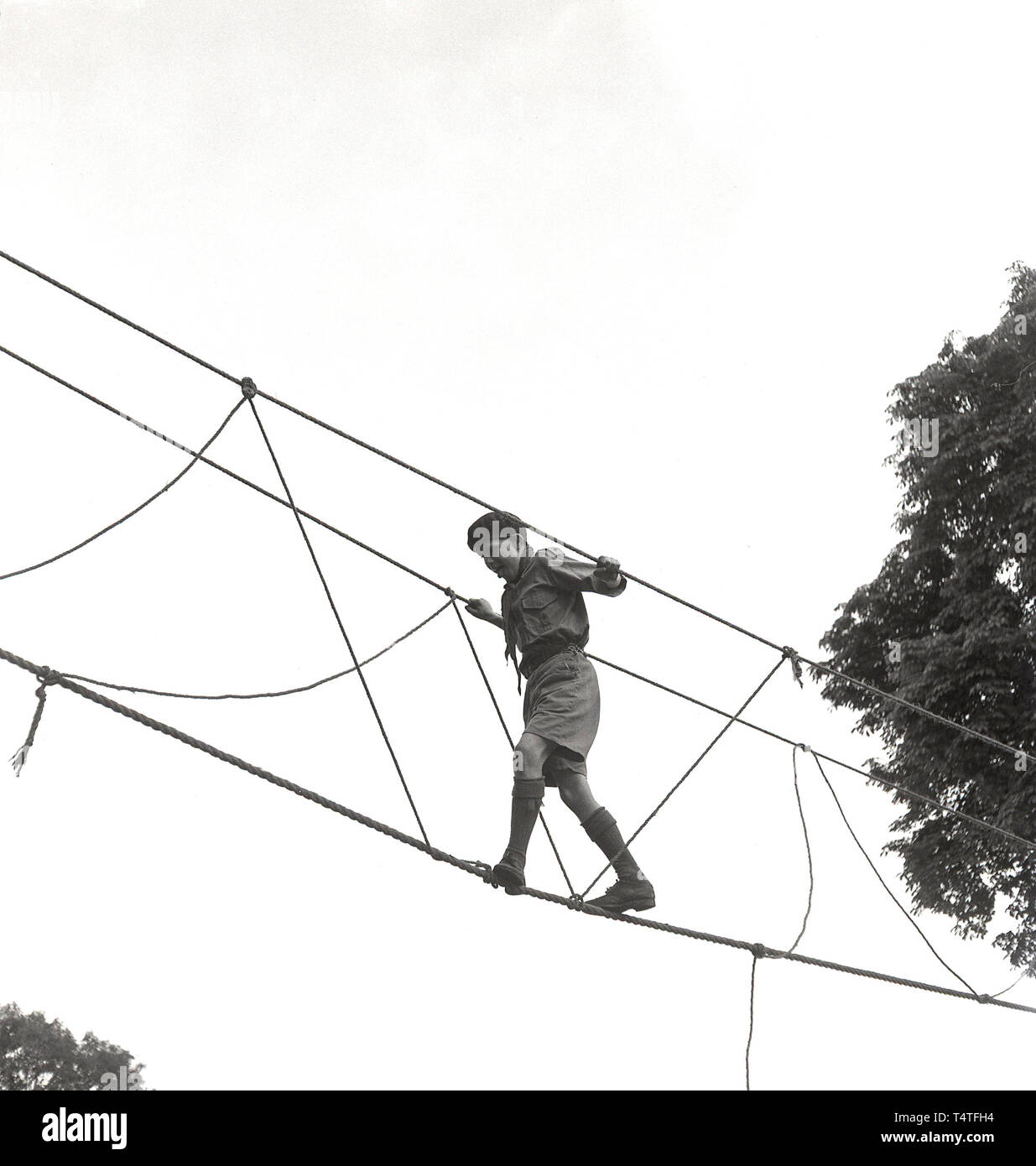 Scouting Rope Bridge 1960s, historical, a boy scout in his unifiorm and berry crossing s a ...