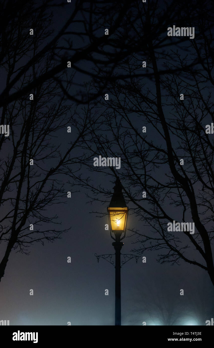 Street lamp illuminating foggy scene with winter branches Stock Photo ...