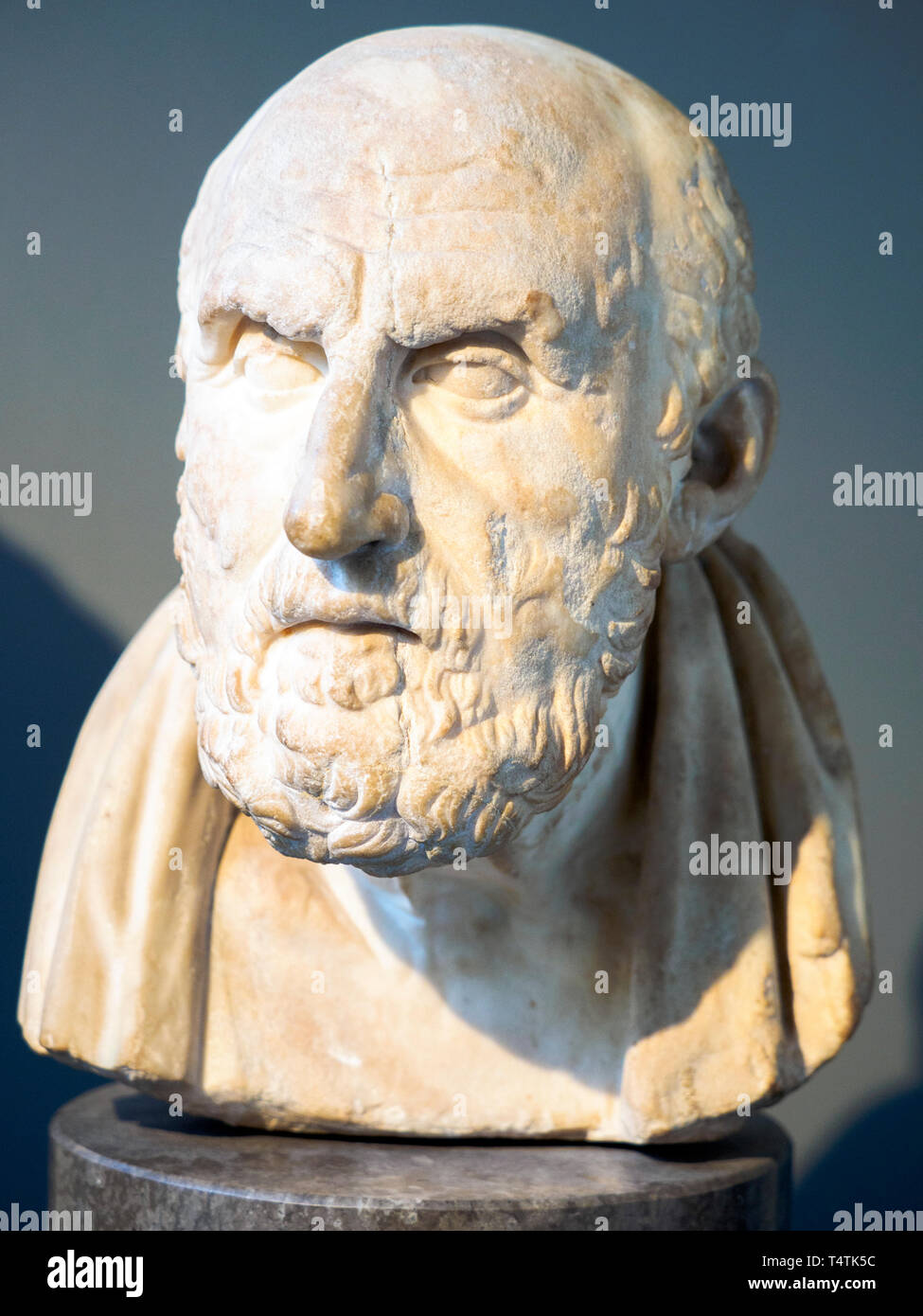 Marble head of Chrysippus (c. 281/77 - 208/4 BC) Roman copy after a lost Greek original of the third or second century BC Stock Photo