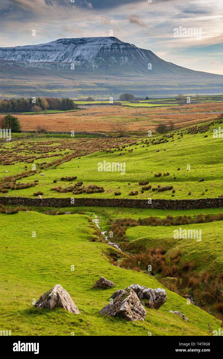 Landscape view of Simon Fell near Ribblehead, Yorkshire Dales National Park, England Stock Photo