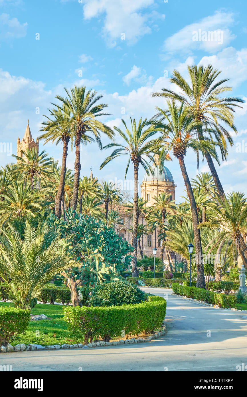 Villa Bonanno public garden with tall palms and Palermo Cathederal in ...