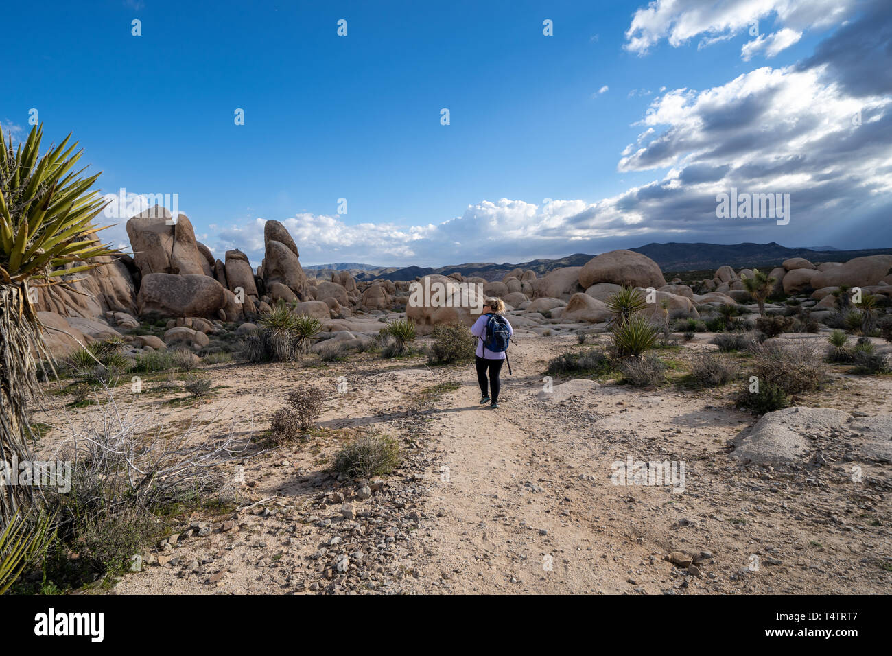 Young woman female hiker wearing a backpack starts off on a hiking trail in Joshua Tree National Park, to the Arch Rock Stock Photo