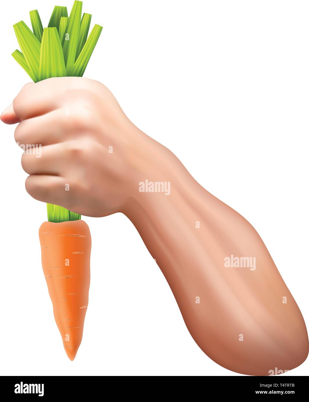 carrot in hand 3 Stock Vector