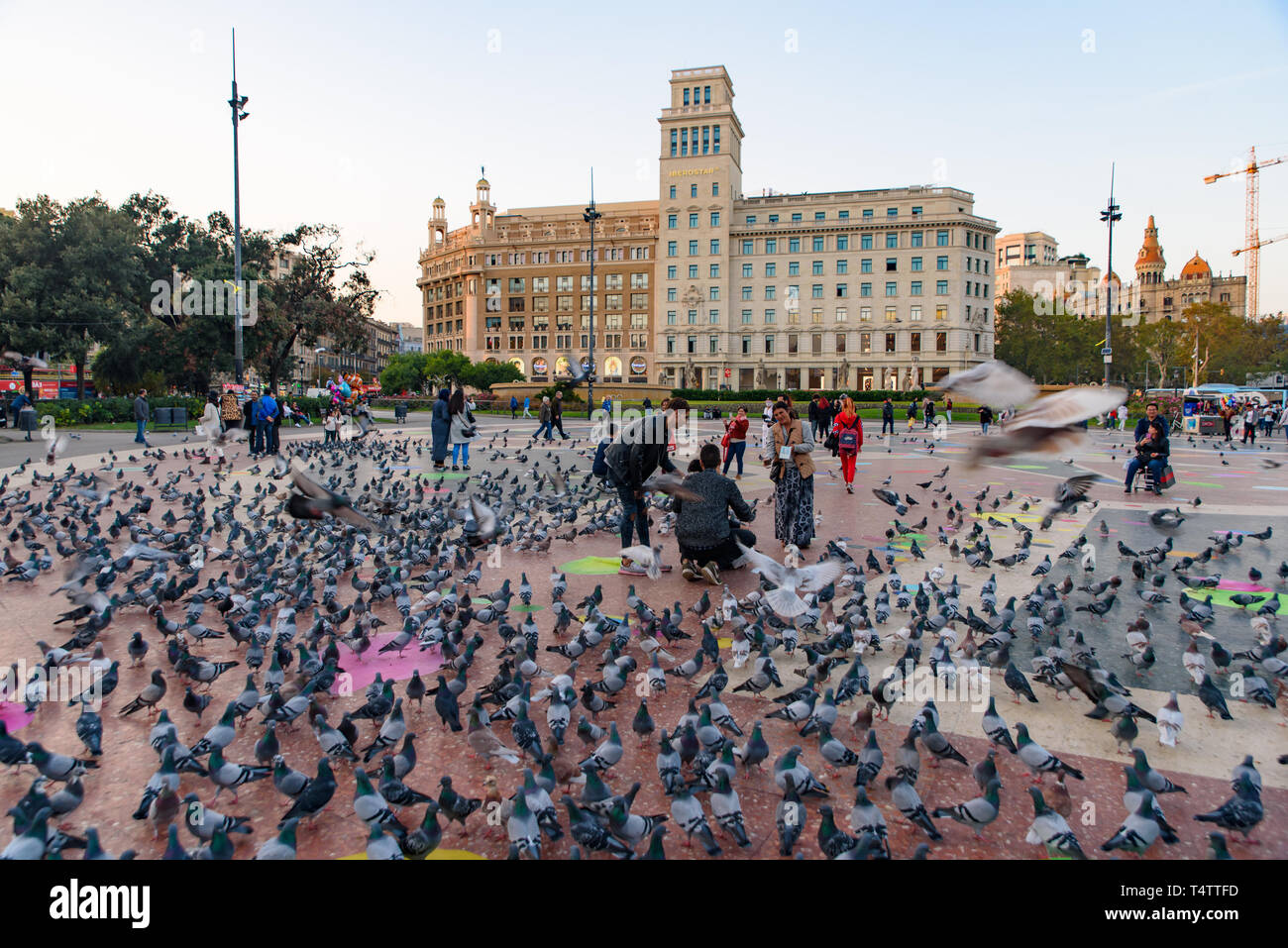 Pigeons on Catalonia Square (Plaça de Catalunya) in central Barcelona, Spain Stock Photo