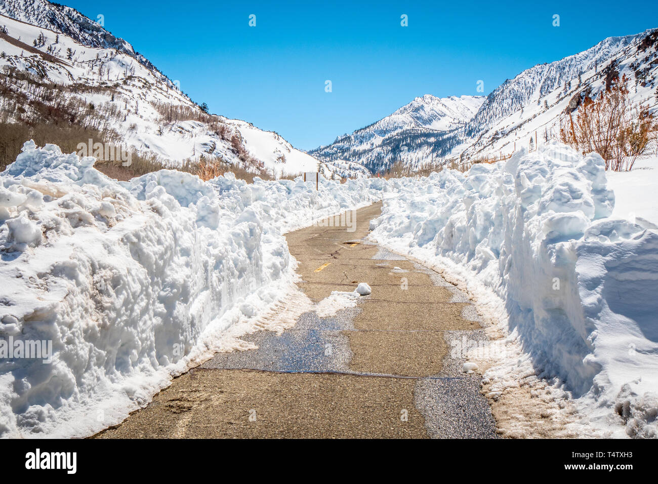 Inyo Wonderful Inyo National Forest in the snow Stock Photo - Alamy