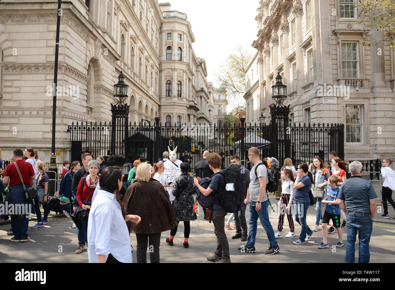 Extinction Rebellion rebel in Central London, bringing the centre of the city to a halt on 19th April 2019. Stock Photo