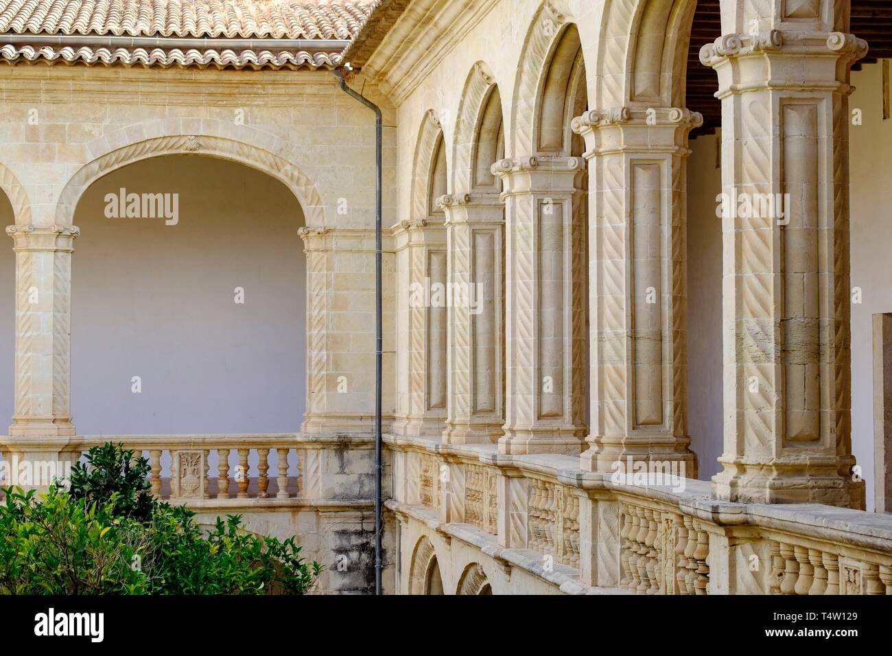 San vicente ferrer de talla el spanish edition