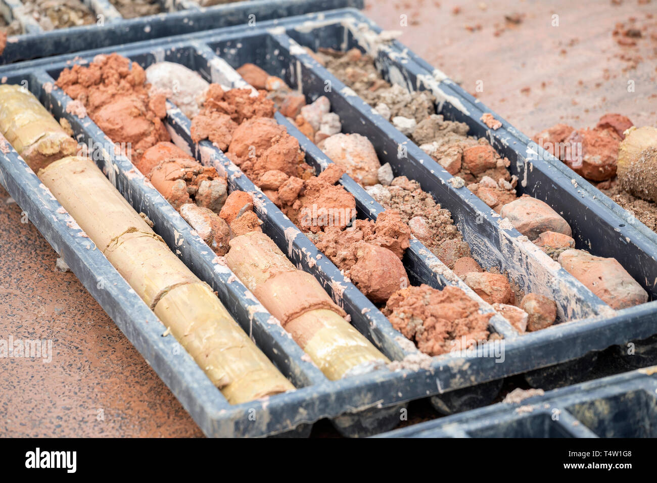 Obtaining soil samples in plastic box. Soil boring and soil sampling
