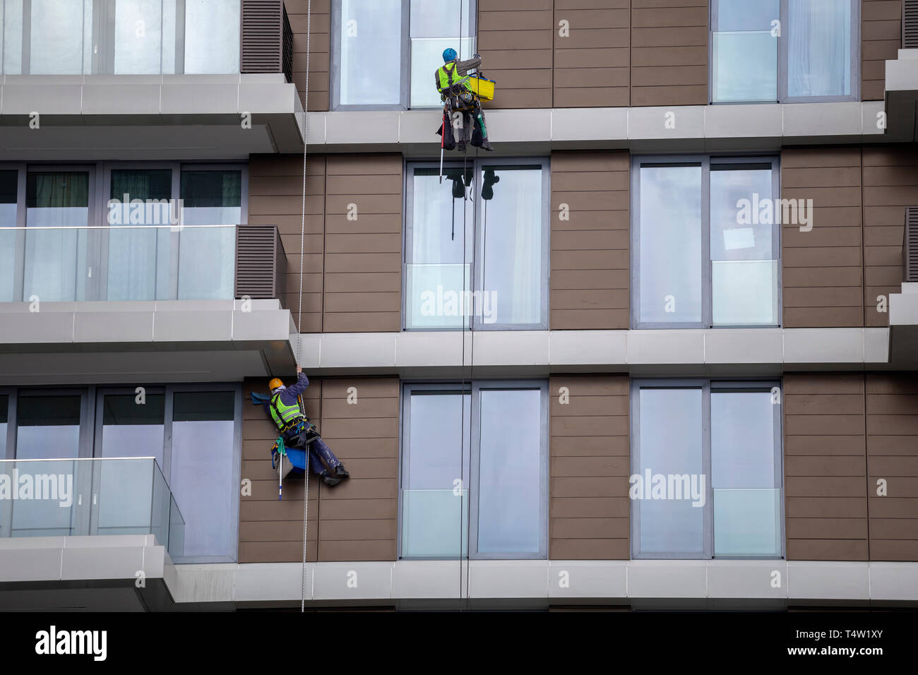 Using rope to clean a high apartment building, steeplejack works. Mountain climber washes windows. Stock Photo