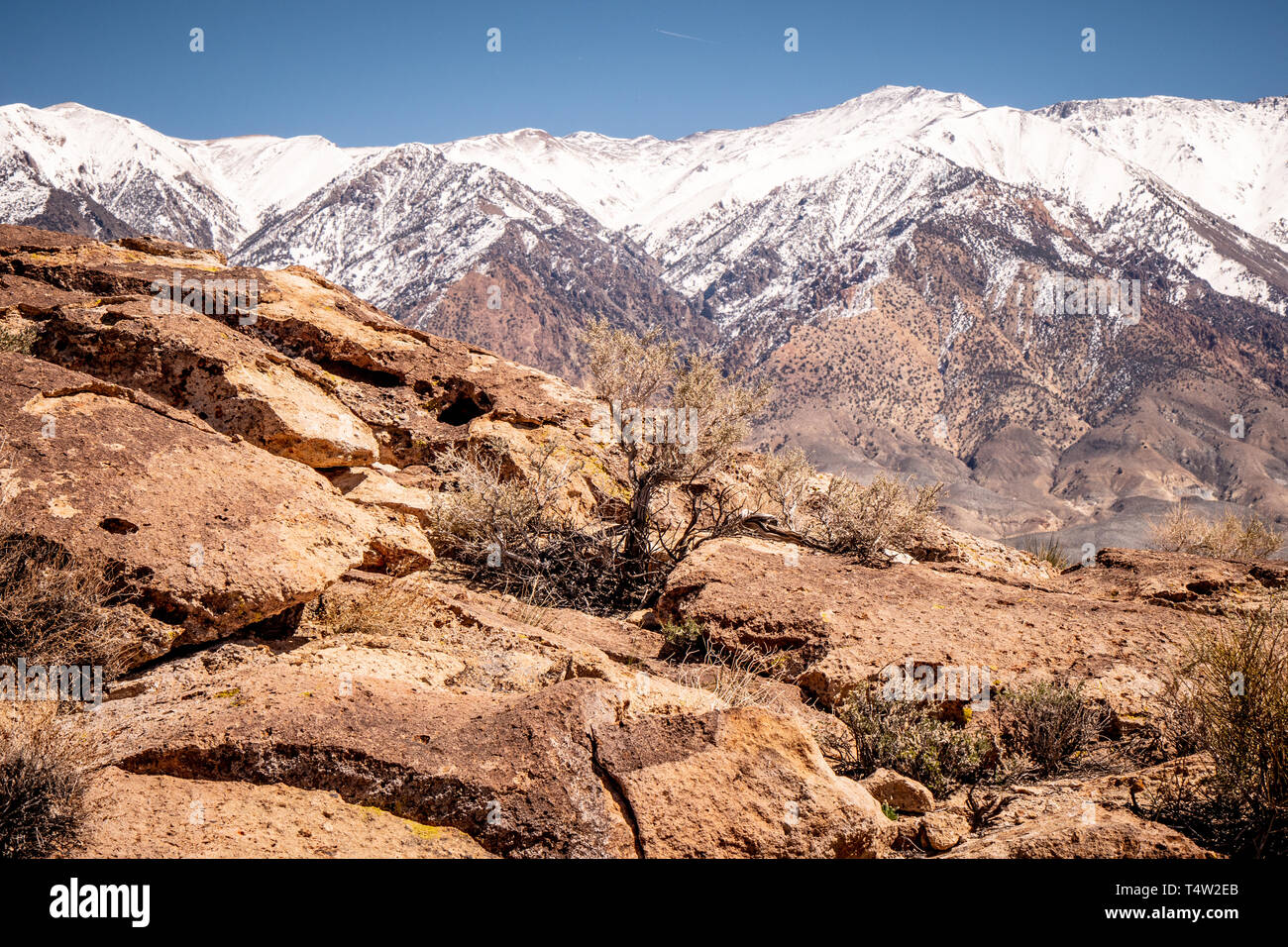 Chalfant Valley with its famous petroglyphs in the rocks Stock Photo