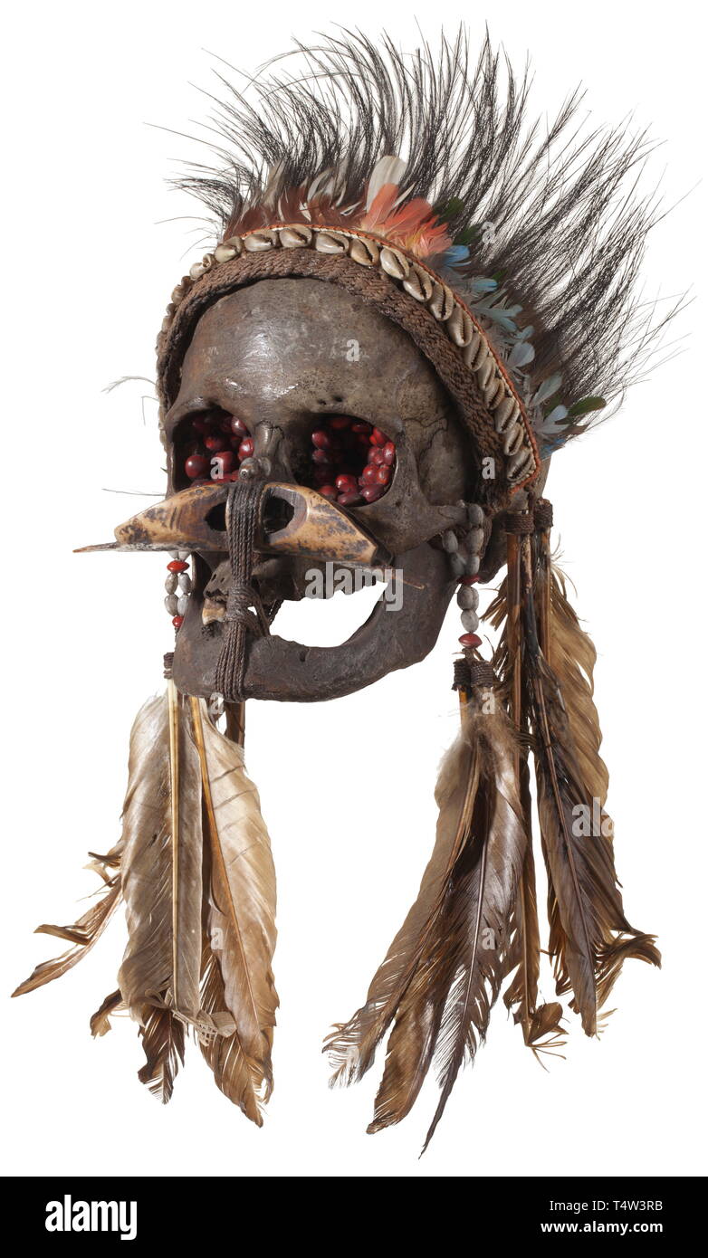 An ancestor's skull of the Asmat people, Papua New Guinea. Dark patinated skull of an old man, the lower jaw held in place by an elaborate cord wrapping. The eye sockets filled with reddish seeds, the nose decorated with a carved hollow bone. Magnificent headdress of textile netting, shells and bird feathers. Height 16 cm. The skulls of esteemed ancestors, so-called "ndambirkus" were objects of veneration. They were elaborately decorated and kept in a safe place. The skulls of enemies, so-called "ndaokus", however, were treated less reverently. T, Additional-Rights-Clearance-Info-Not-Available Stock Photo