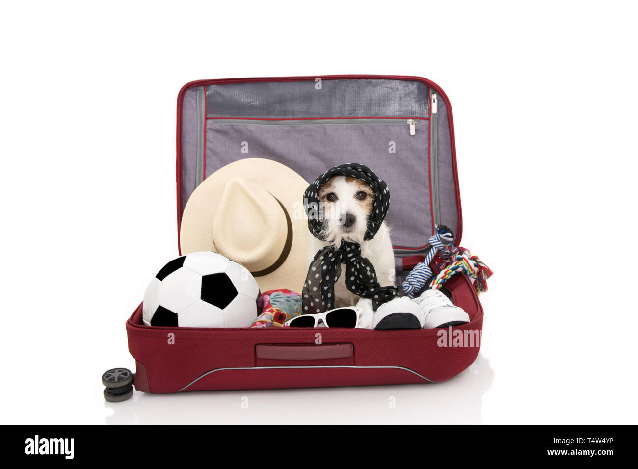 Dog Friendly Vacations Stock Photos Dog Friendly Vacations Stock