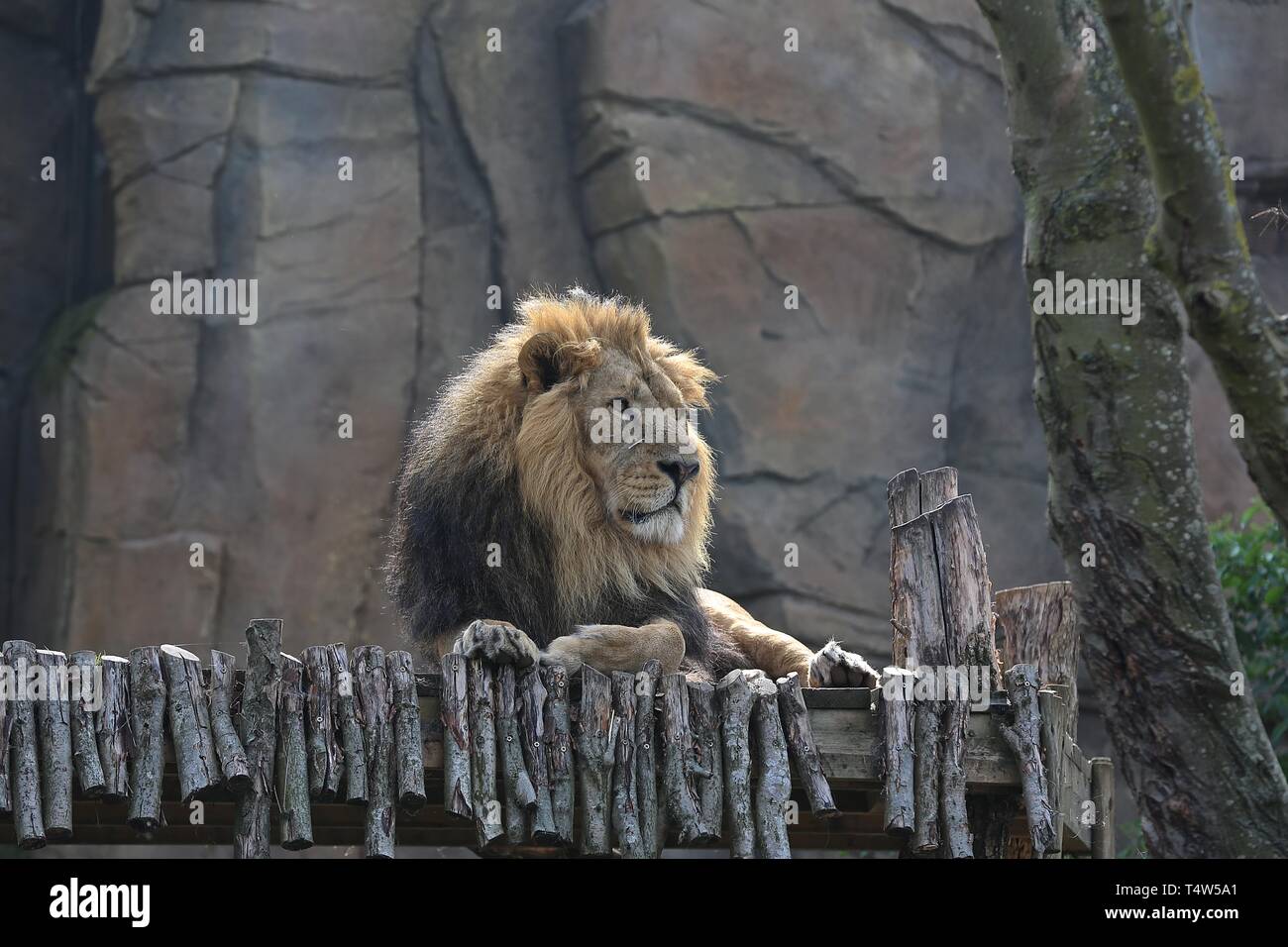 Easter Treats at ZSL London Zoo 18/4/2019 Stock Photo Alamy