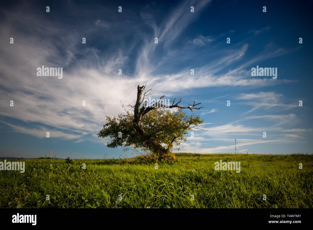 Wasserkupe, Germany Stock Photo