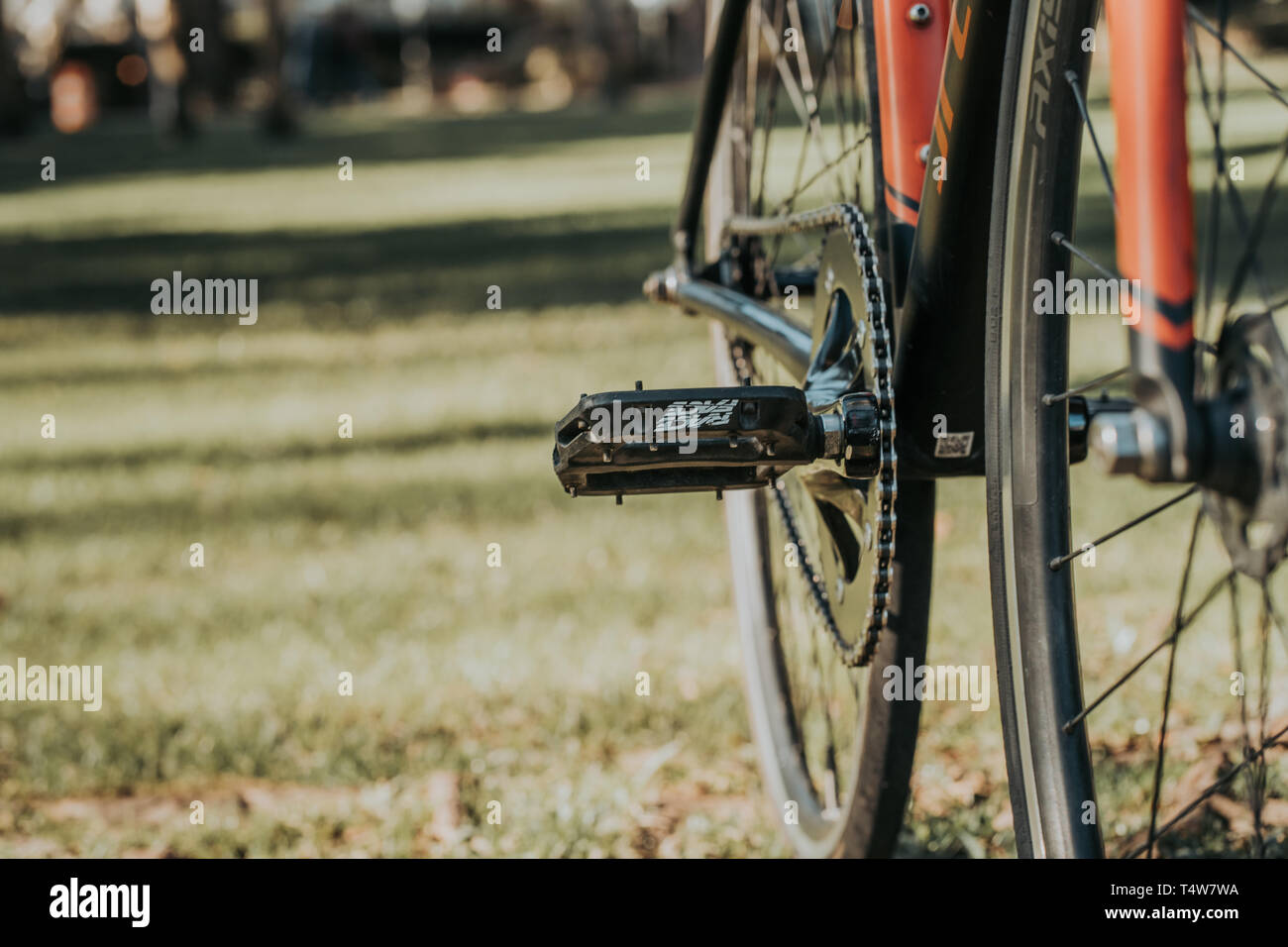 Bike in a Park Stock Photo