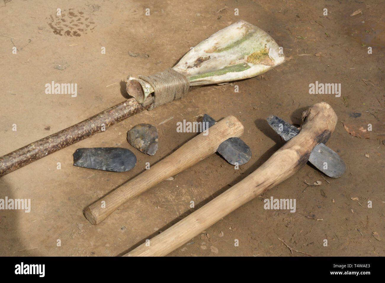Replica Neolithic hand tools used in the construction of the Neolithic Longhouse at La Hougue Bie museum. Jersey, Channel Islands,UK Stock Photo