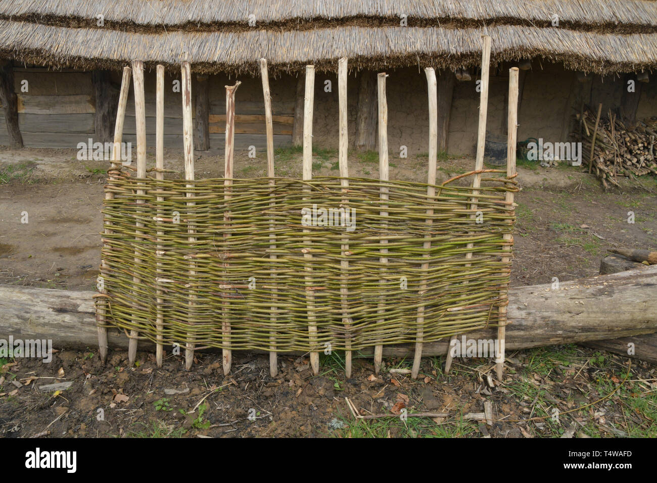 Wattle hurdle made at La Hougue Bie museum in Jersey.With hazel uprights and woven willow it forms a eco friendly fence.Jersey, Channel Islands, UK Stock Photo