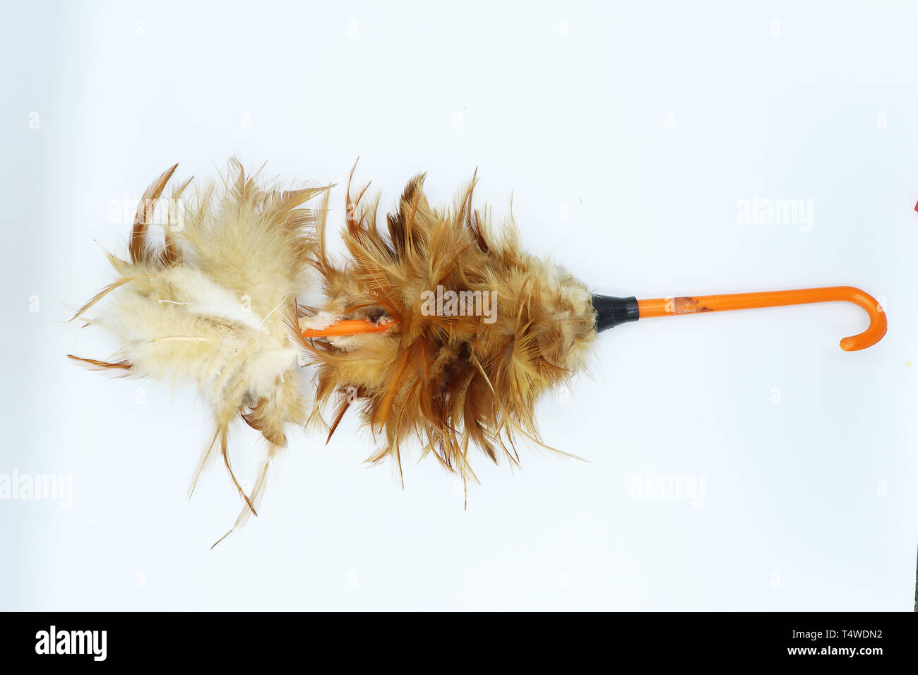 break feather duster isolated on white background Stock Photo - Alamy