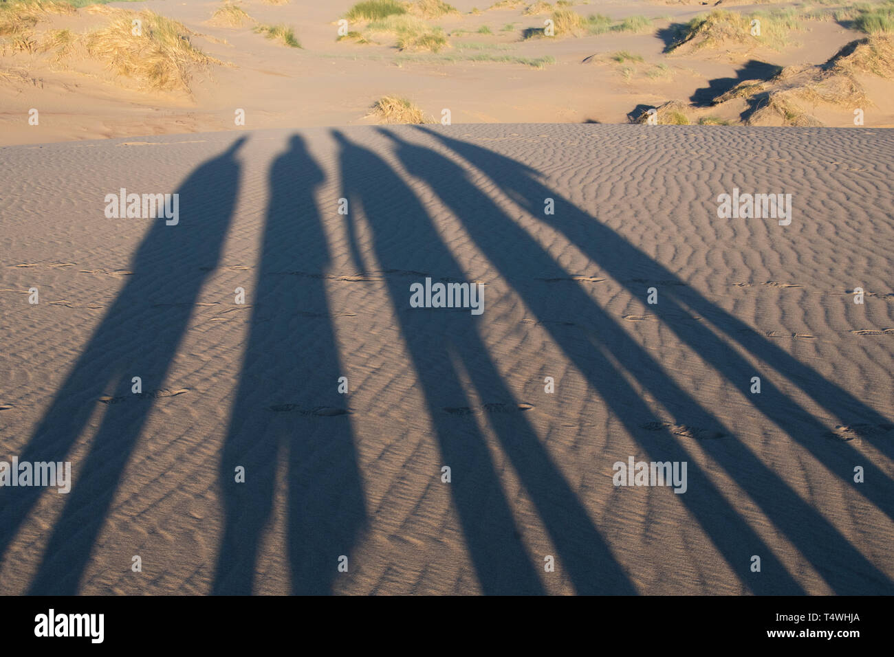 Shadows on sand dunes, Peninsula Valdes, Patagonia, Argentina Stock Photo