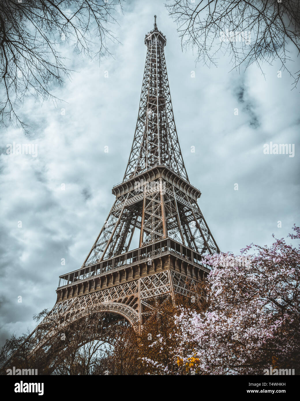 Eiffel Tower with cherry blossoms on a cloudy day in spring Stock Photo