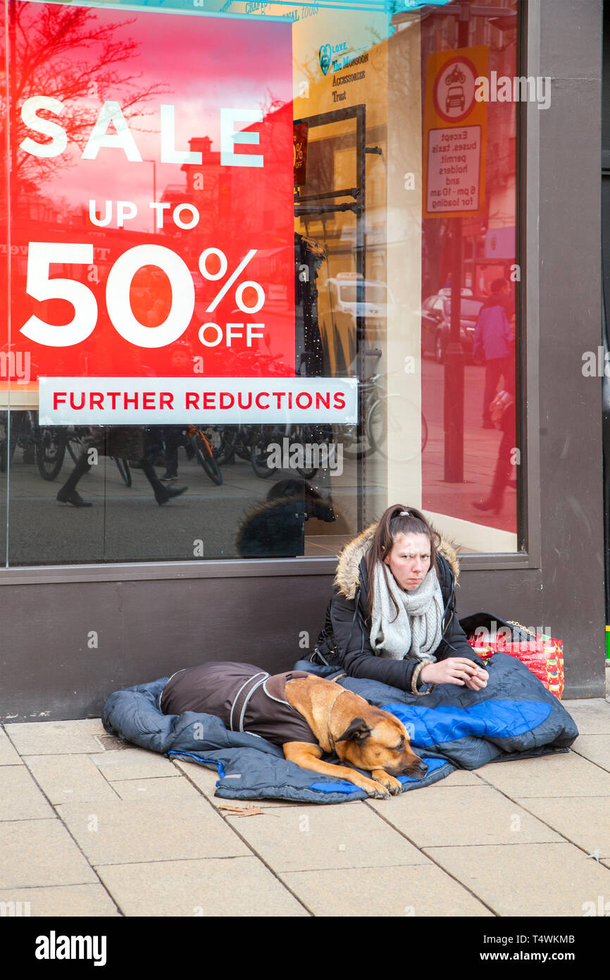 Homeless woman beggar with dog sitting outside the Accessorize shop in Cheltenham England begging  off shoppers and passers by Stock Photo