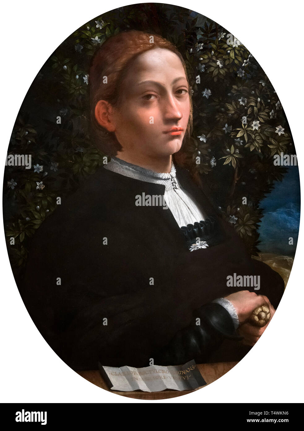 Portrait of lucrezia borgia hi-res stock photography and images - Alamy