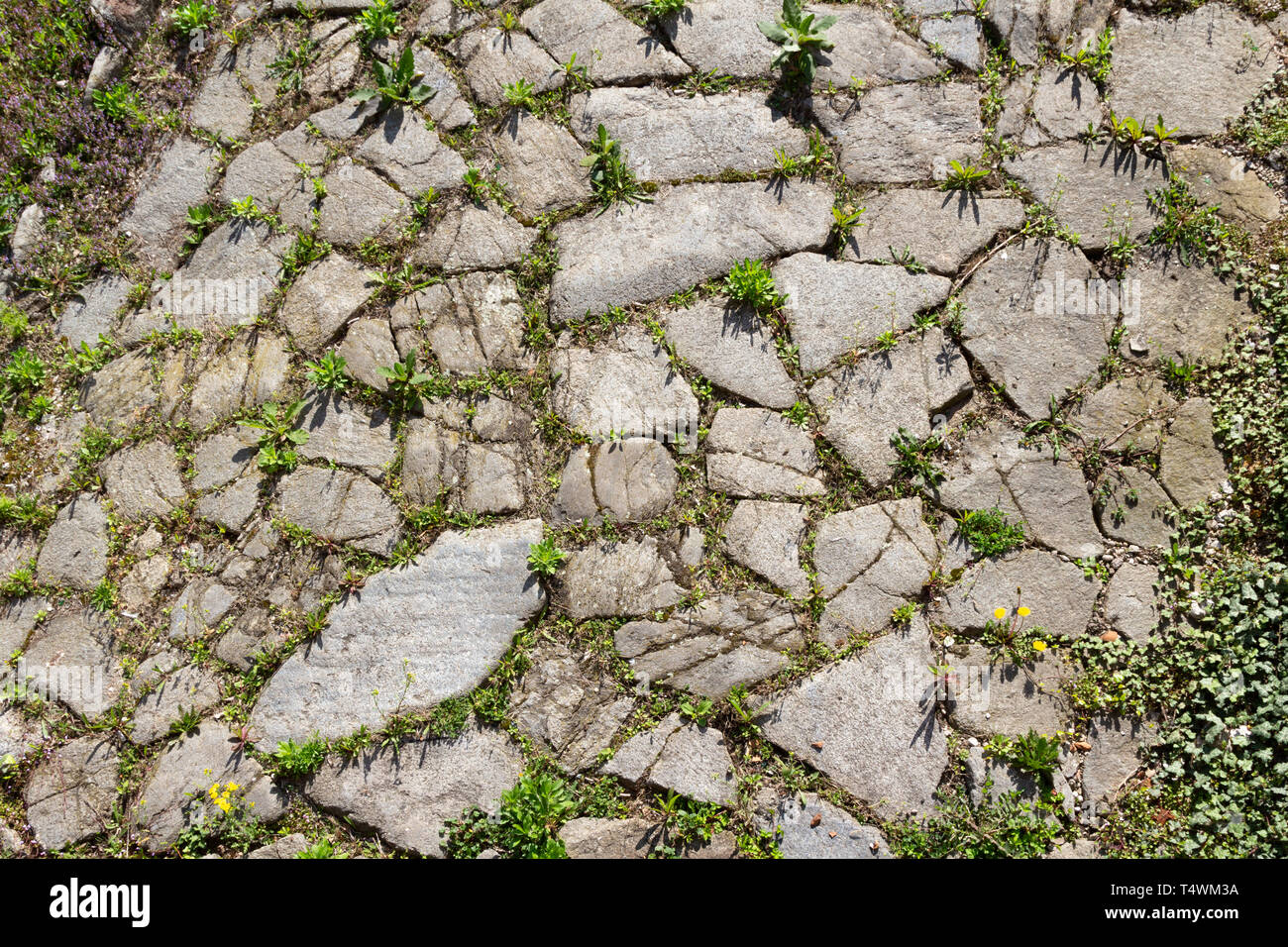Roman amber road trade hires stock photography and images Alamy