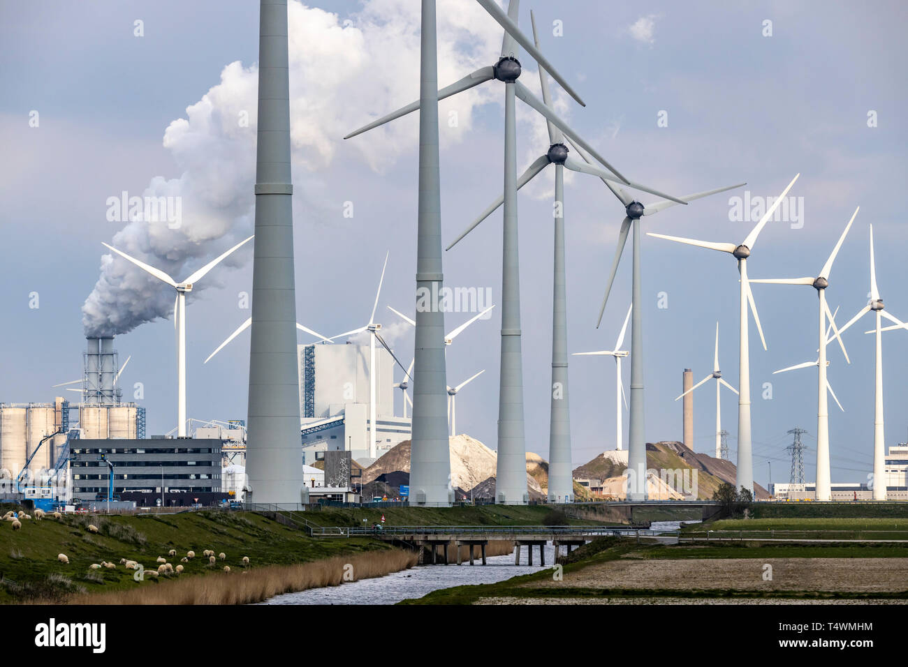 Power plant eemshaven hi-res stock photography and images - Alamy