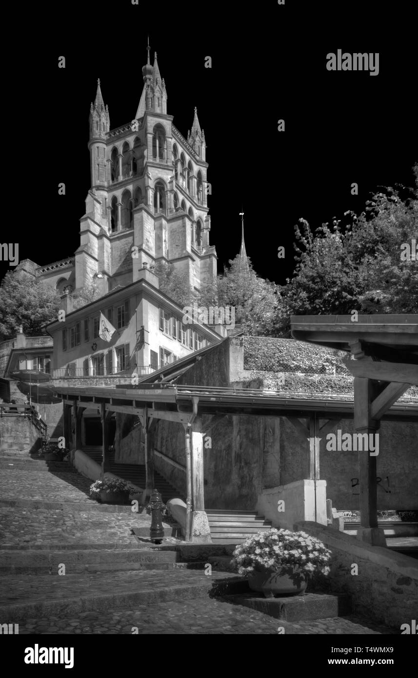 Switzerland nature flowers Black and White Stock Photos & Images Alamy