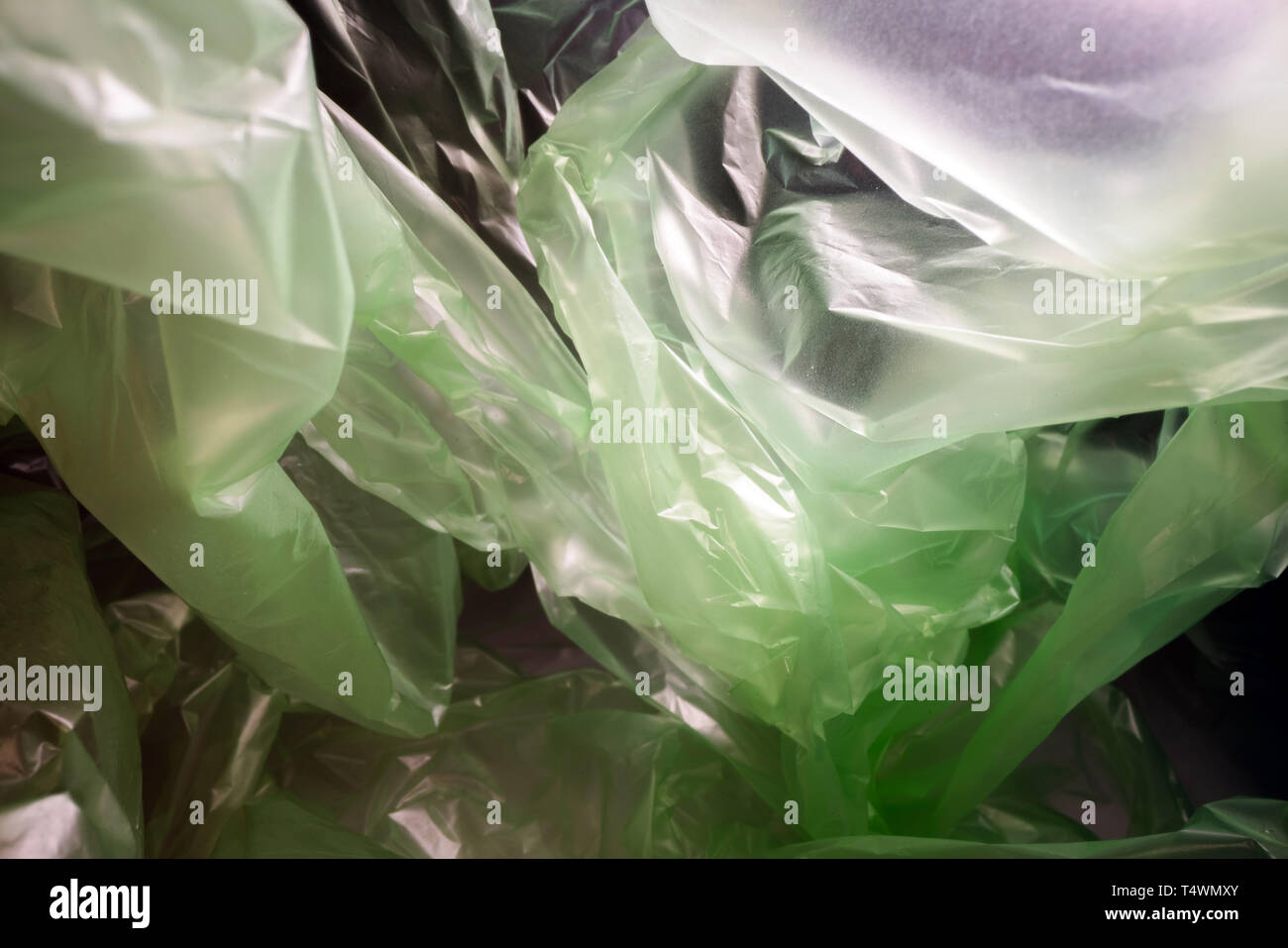 Inside a disposable plastic bag. Lightweight transparent, reusable ...