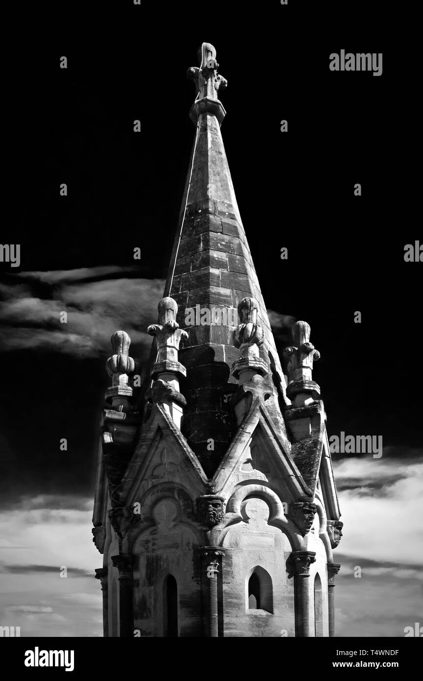 Switzerland nature flowers Black and White Stock Photos & Images Alamy