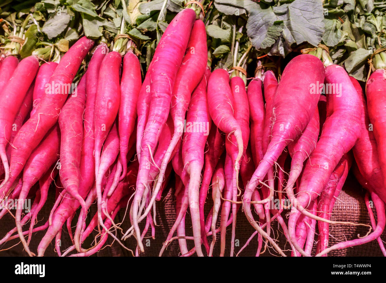Long red radishes roots Vegetable market Spain Stock Photo