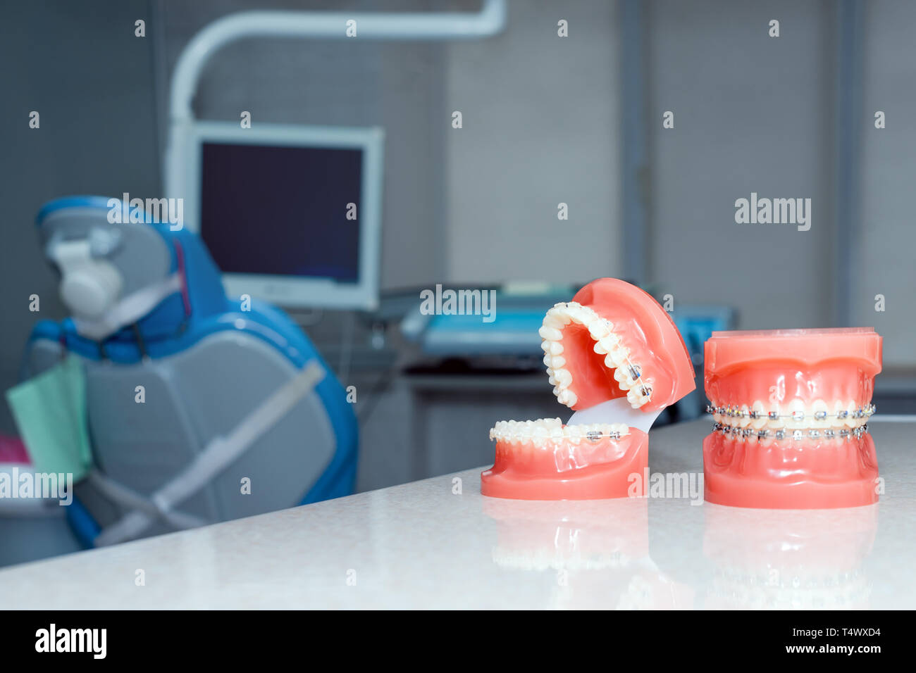 Orthodontic model and dentist tool - demonstration teeth model of ...