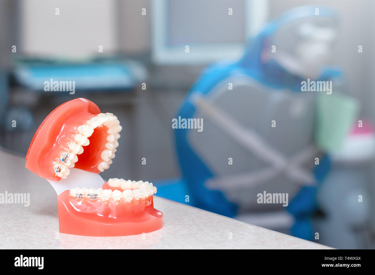 Orthodontic model and dentist tool - demonstration teeth model of ...
