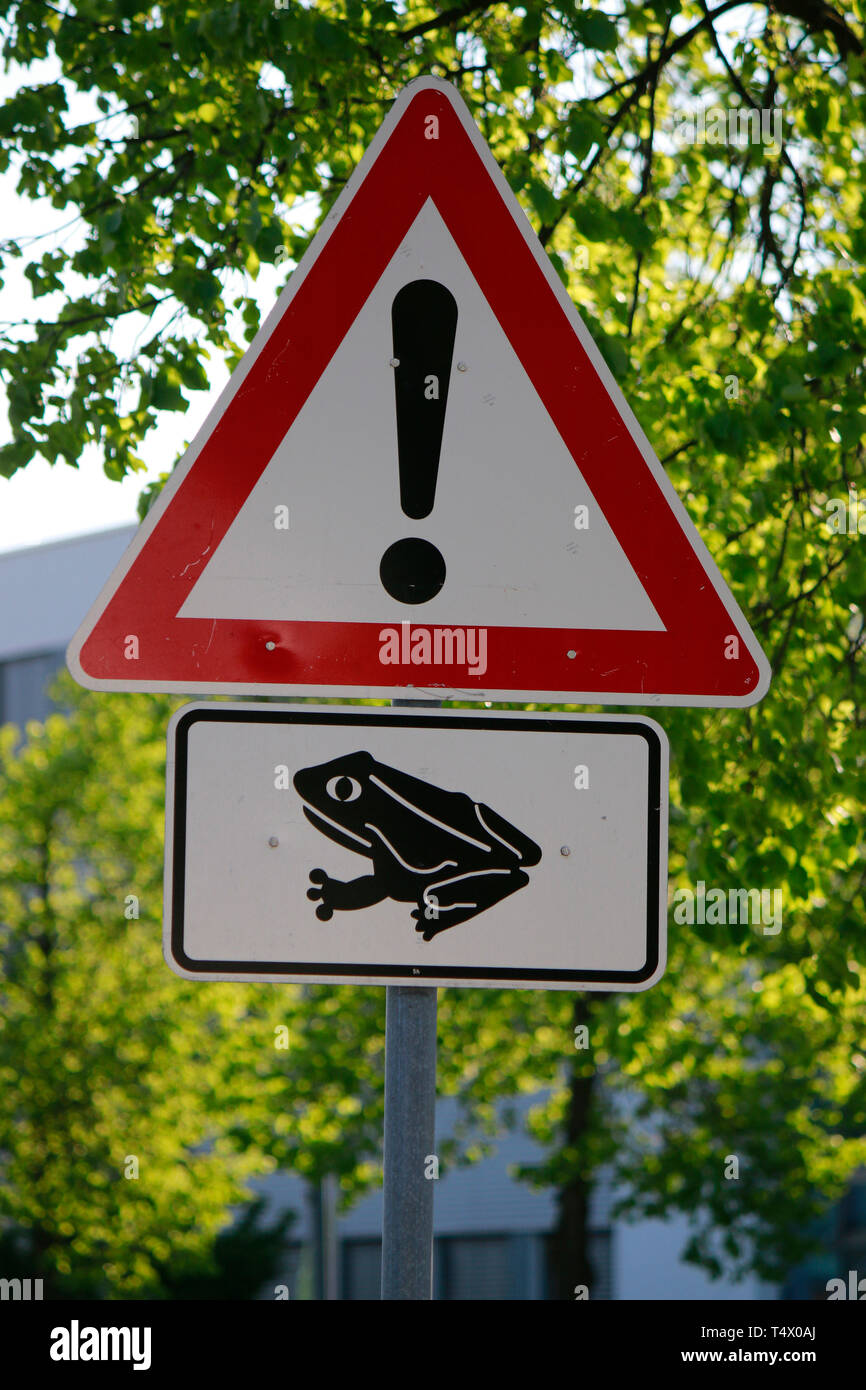 Vorsicht: Froesche auf der Fahrbahn, Berlin. Stock Photo